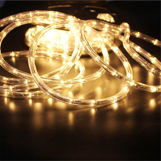 110V 2-Wire Waterproof LED Rope Light Kit for Background Lighting,Decorative Lighting,Outdoor Decorative Lighting,Christmas Lighting,Trees,Bridges and Eaves (Warm White, 50Ft)