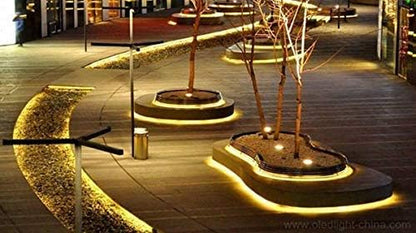 110V 2-Wire Waterproof LED Rope Light Kit for Background Lighting,Decorative Lighting,Outdoor Decorative Lighting,Christmas Lighting,Trees,Bridges and Eaves (Warm White, 150Ft)